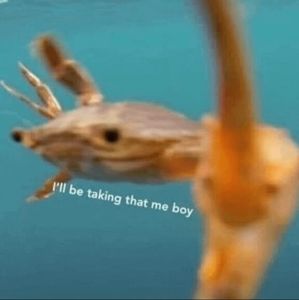 Meet your Posher, L.